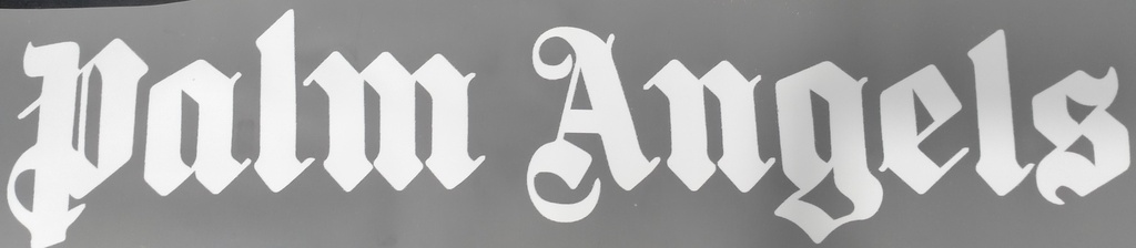 Palm Angels print