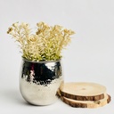 اصيص زرع بتصميم ديكوري مزخرف _ باللون الفضي