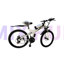 S_002 عجلة كهربائية