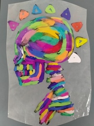 [HH00016443] Colorful Skull print